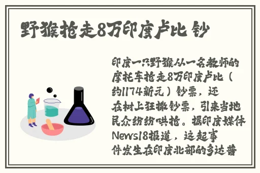 一区一区三区产品乱码